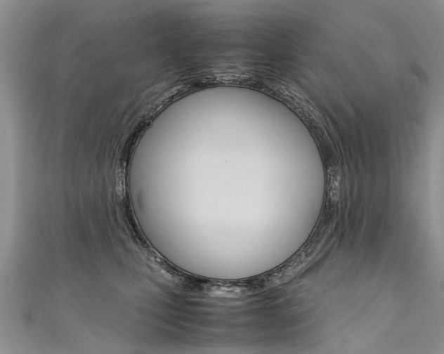 X0000111430471200907131044