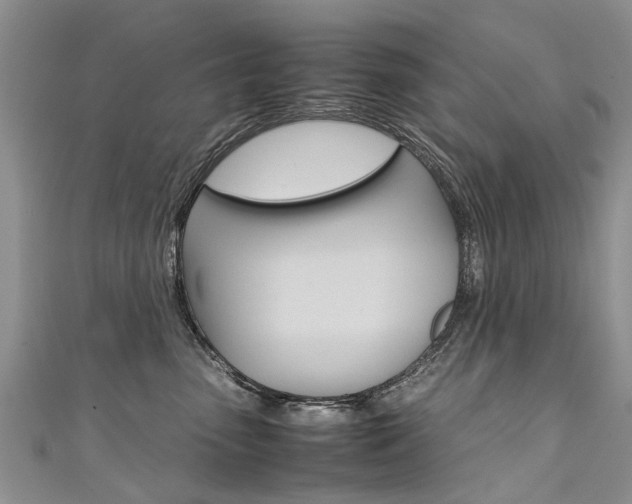 X0000111430475200907131044