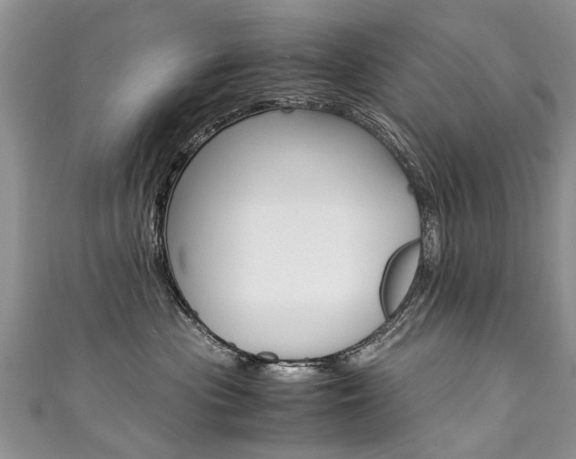 X0000111430477200907131044