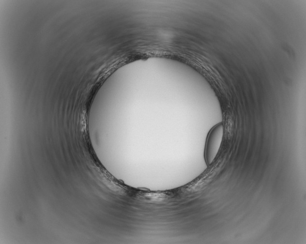X0000111430478200907131044