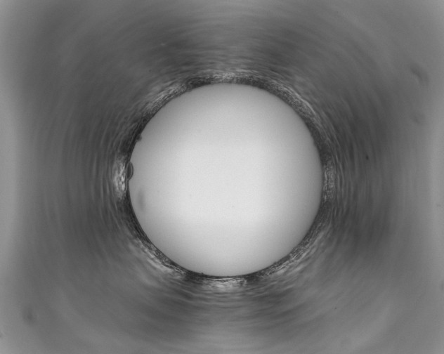 X0000111430479200907131044