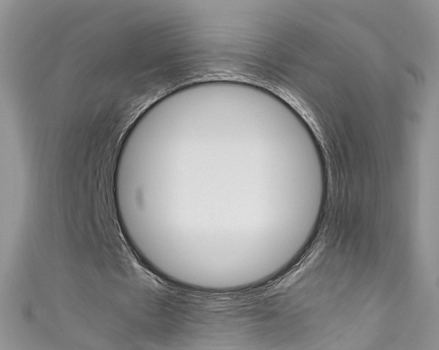 X0000111430481200907131043