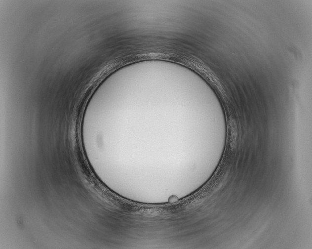 X0000111430482200907131043