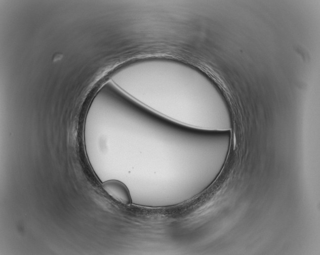 X0000111430483200907131043
