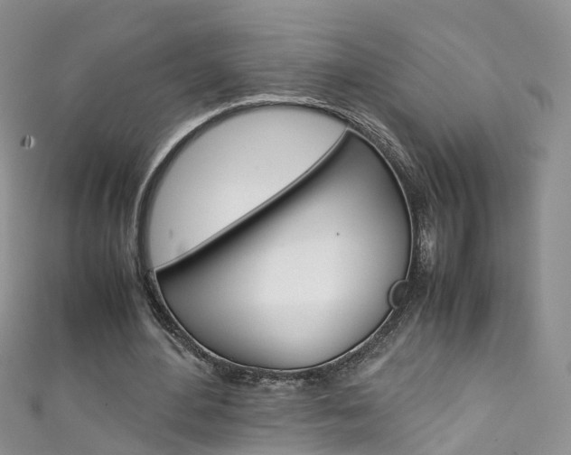 X0000111430484200907131043