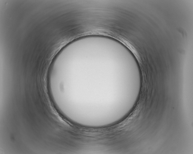 X0000111430485200907131043