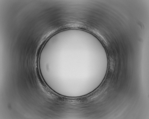 X0000111430486200907131043