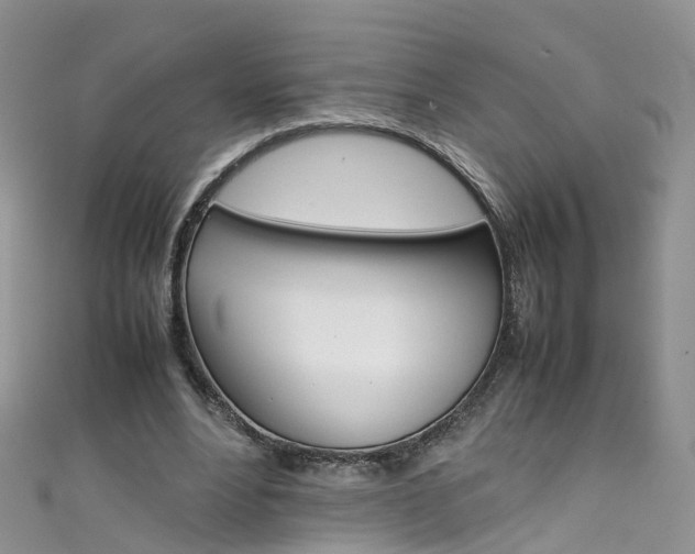 X0000111430488200907131043