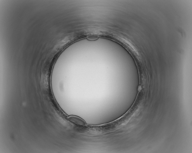 X0000111430489200907131043