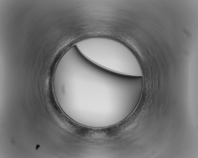 X0000111430491200907131043