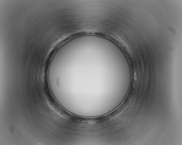 X0000111430492200907131043