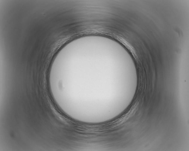 X0000111430493200907131043
