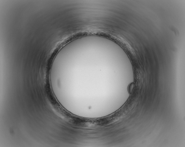 X0000111430496200907131043