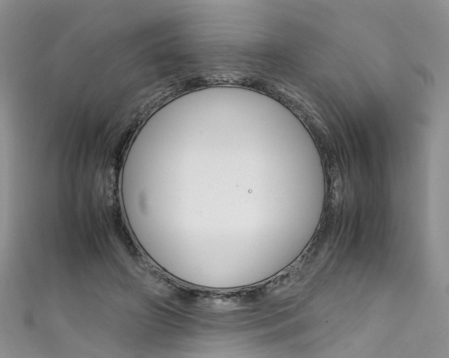X0000111430498200907131043