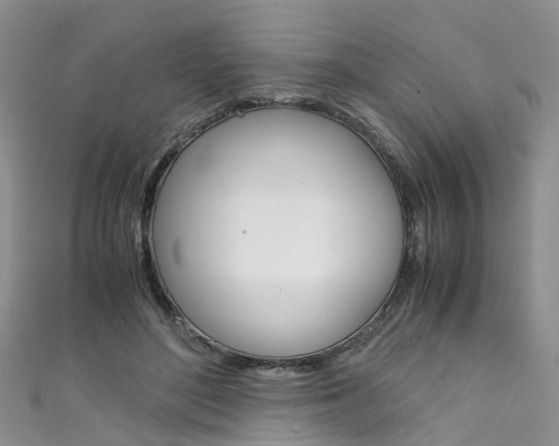X0000111430500200907131043