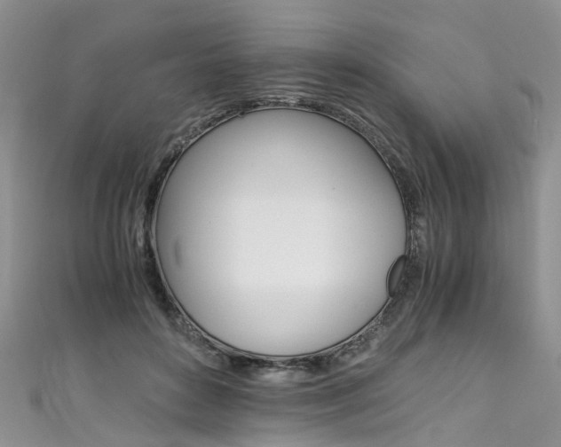 X0000111430504200907131043