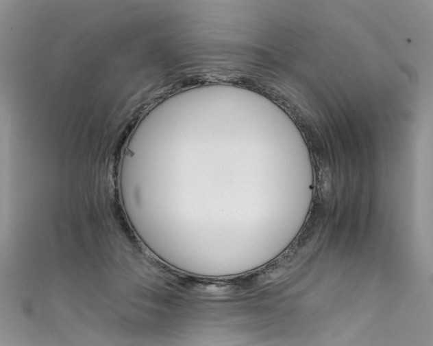 X0000111430506200907131043
