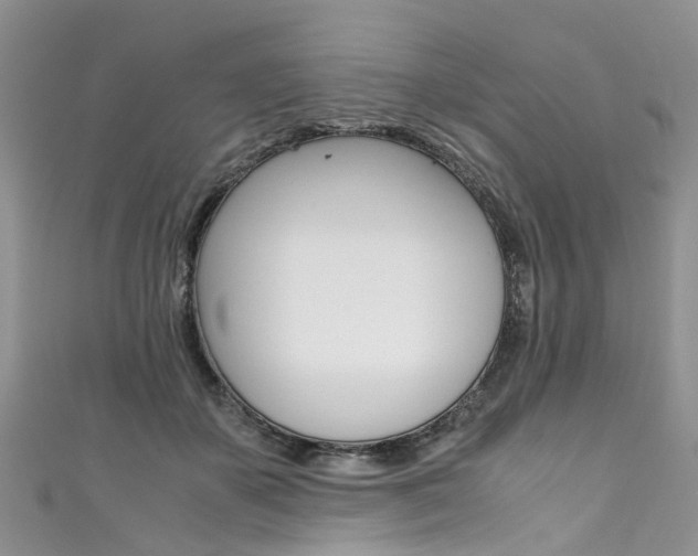 X0000111430507200907131043