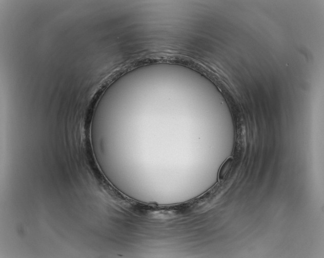 X0000111430508200907131043