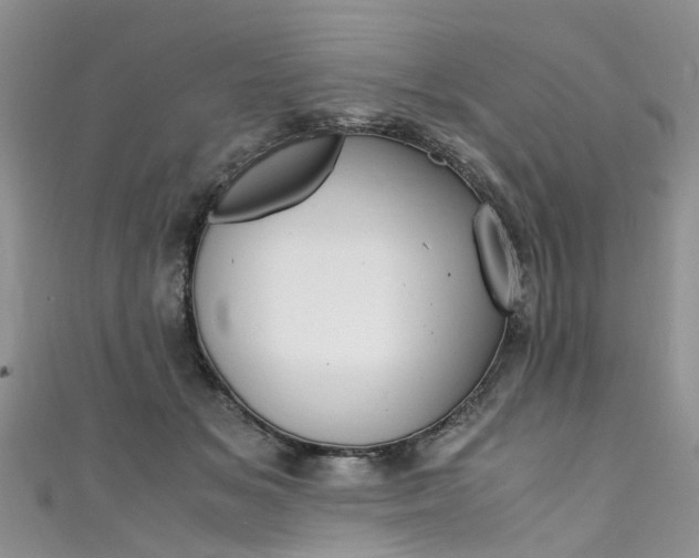 X0000111430509200907131043