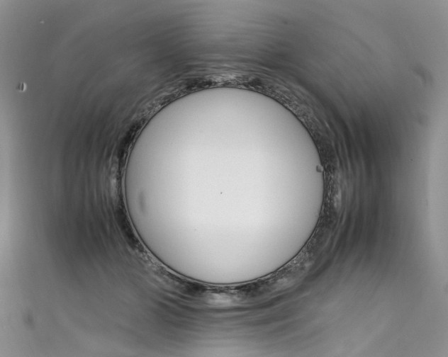 X0000111430510200907131043