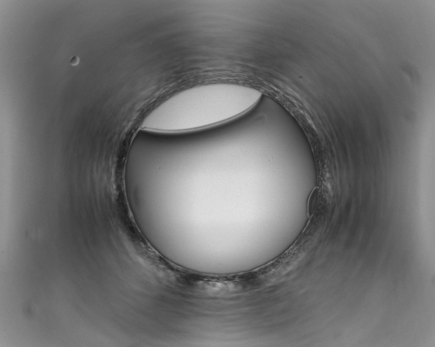X0000111430512200907131043