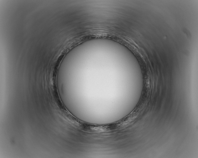 X0000111430516200907131043