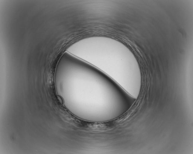 X0000111430517200907131043