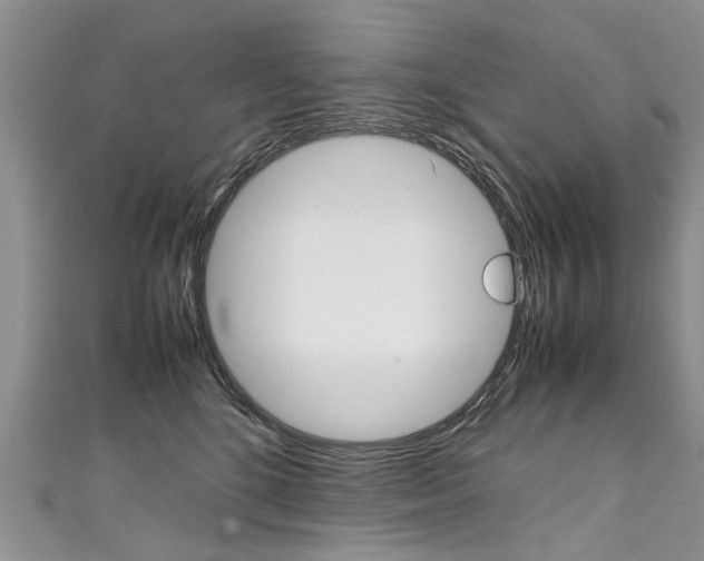 X0000111430520200907131043