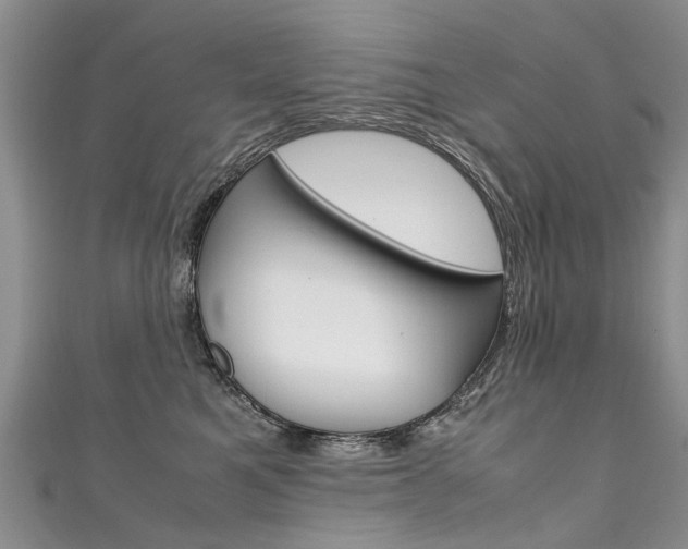 X0000111430521200907131043