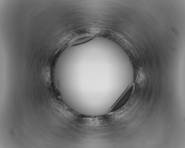 X0000111430524200907131043