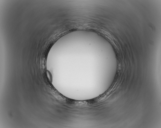 X0000111430525200907131043
