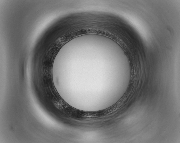 X0000111430527200907131043
