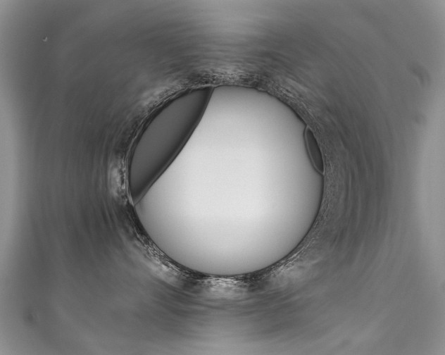 X0000111430528200907131043