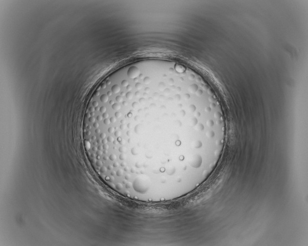 X0000111430529200907131042