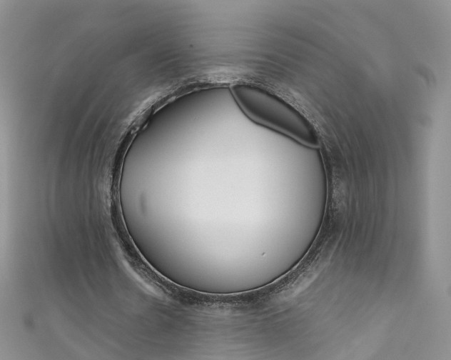 X0000111430530200907131042