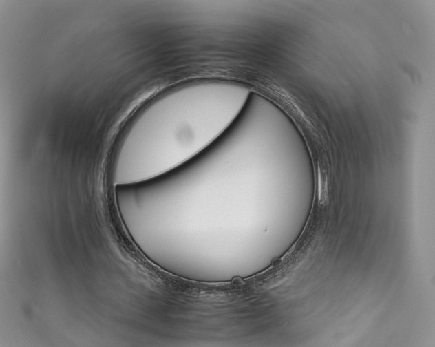 X0000111430531200907131042