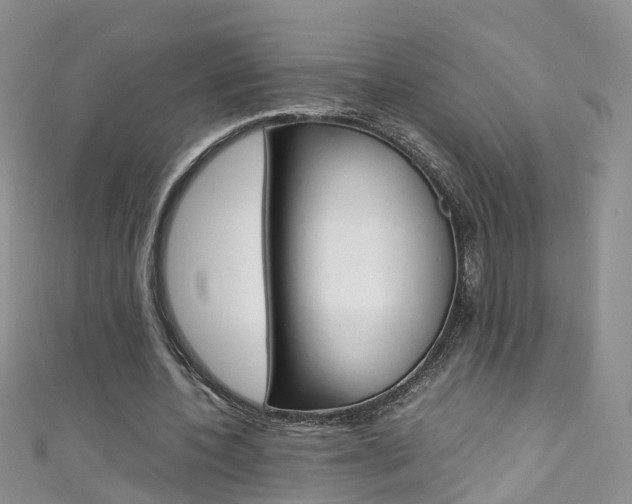 X0000111430532200907131042