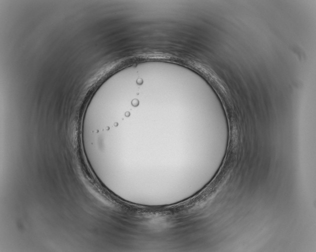 X0000111430533200907131042