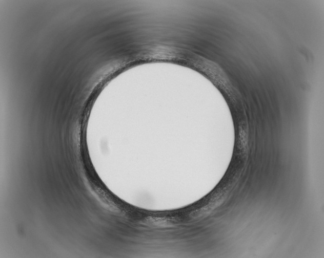 X0000111430534200907131042