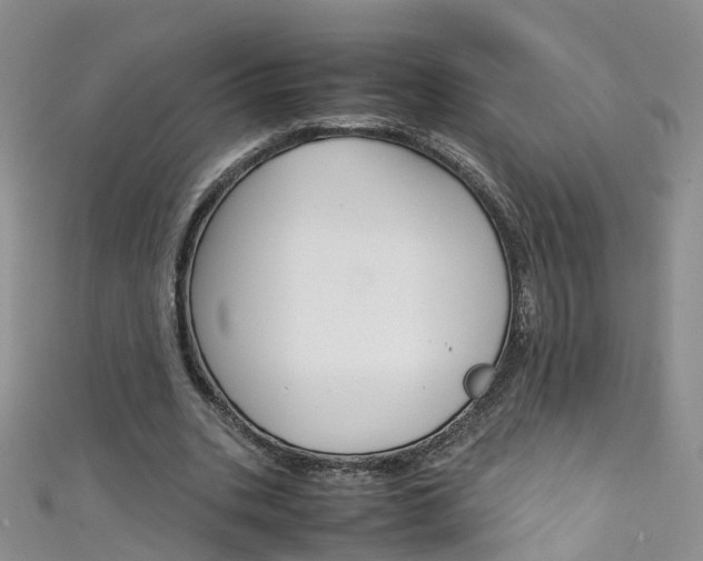 X0000111430535200907131042