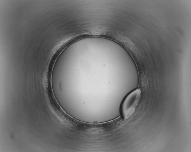X0000111430536200907131042