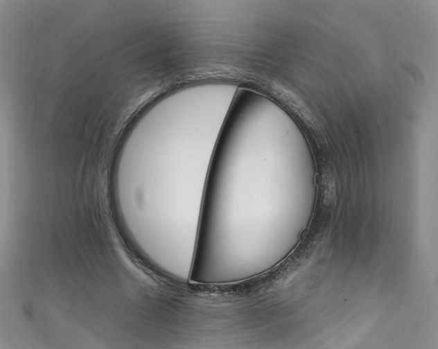 X0000111430538200907131042