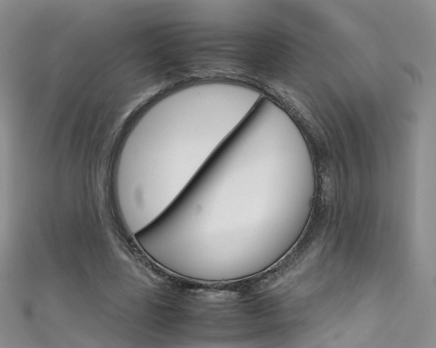 X0000111430539200907131042