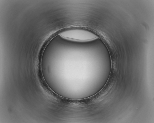 X0000111430540200907131042