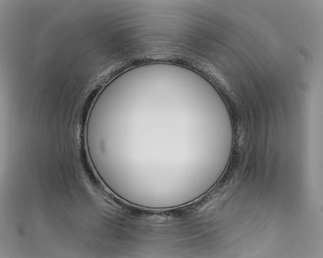 X0000111430542200907131042
