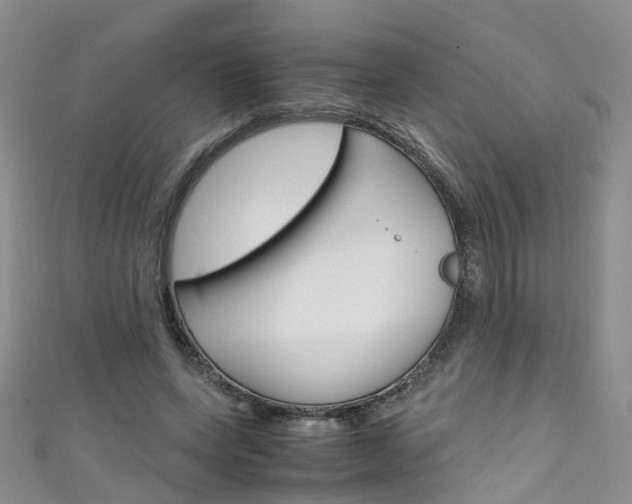 X0000111430543200907131042