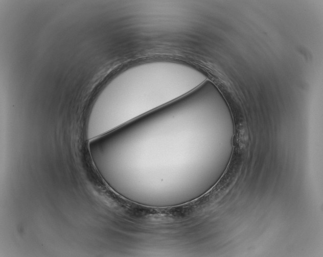 X0000111430544200907131042