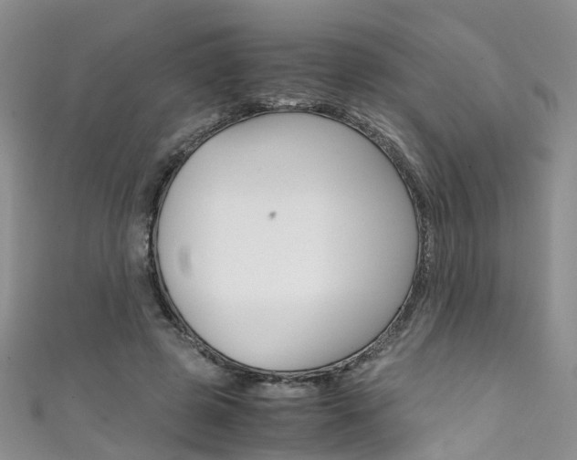 X0000111430545200907131042