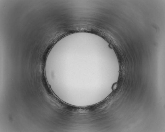 X0000111430546200907131042